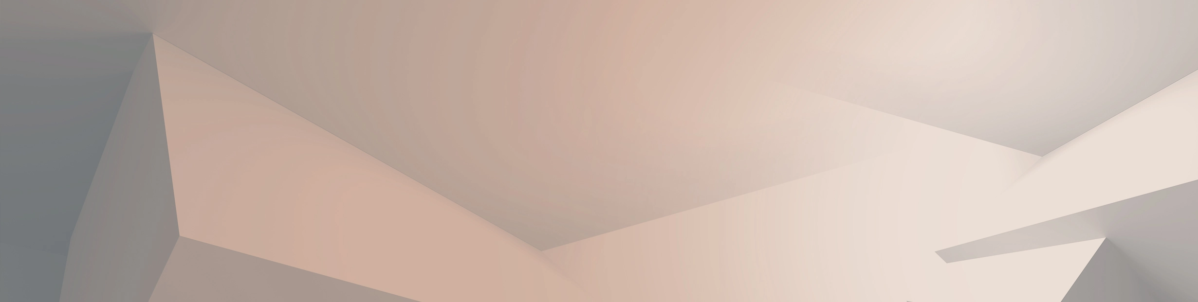 Agenda Background